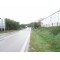 fotografia